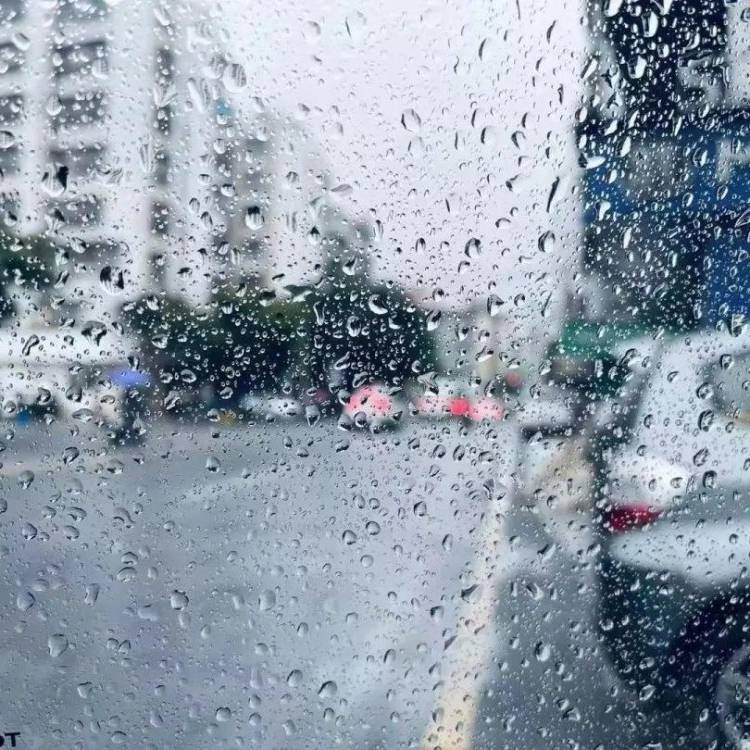 聆雨小酌