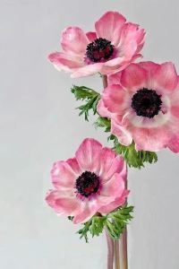 _WeChat35813**** 麗思漫•歸蒔供氧民宿（香格里拉獨克宗古城店）優惠