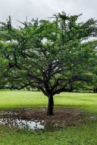 Zhangyu（ze） 橫濱馬車道里士滿飯店優惠