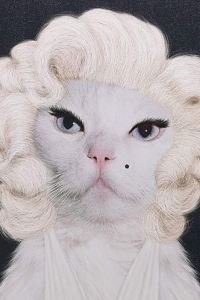 訪客 台北北投春天酒店優惠