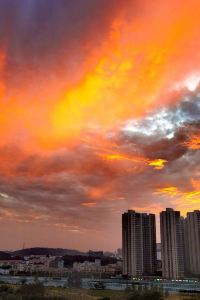 M49163**** Section L飯店公寓 藏前優惠