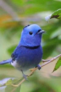 Lijianying 泉州廈航飯店優惠