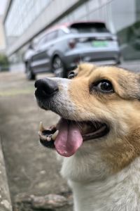 Ruweiping 嬉野温泉　椎葉山荘 クーポン