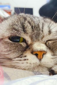 M43315**** 大理十九山·全海景Villa別墅優惠