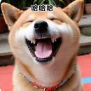 Liangzihuichangshuaihahaha