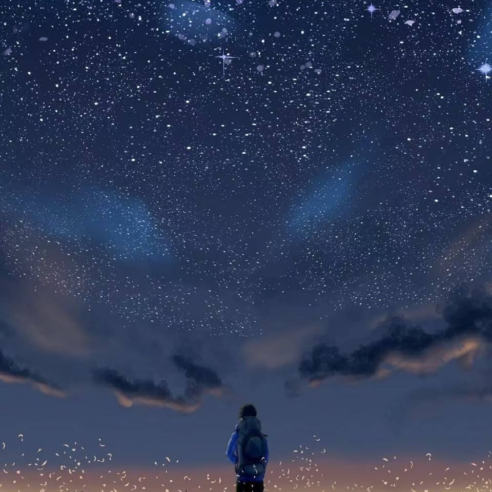 闻嘉流浪Noel