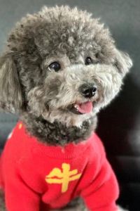 Piaofudeyun☁️☀☁️ 味と湯の宿　ニューとみよし クーポン