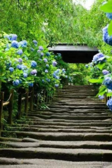 訪客 新加坡聖淘沙名勝世界邁克爾酒店（Staycation Approved）優惠