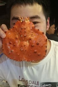 M228332**** 宜必思索非亞機場酒店優惠