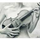 🌺✨yaoa💤yao🎵🌙