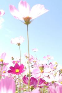 Yiyan 澳門富華飯店優惠