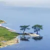 Avatar 3