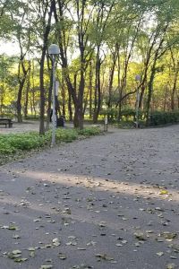 1330132**** 江蘇水中仙東雅國際飯店優惠