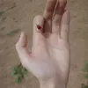 Avatar 3