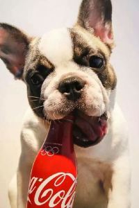 Laiyixiaopingfeizhaishui