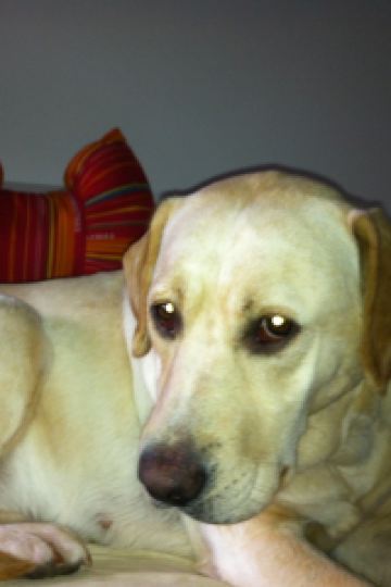 Heyanaiyu ホテルビンテージ神楽坂 クーポン