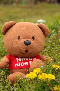 Yonghan John Lo 杭州維景國際大酒店優惠