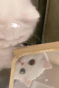 M335451**** 廈門廬山智選假日飯店優惠