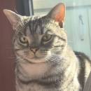 Xiongdiniwotuiduoshao