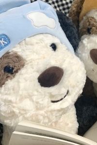 DZHIXUAN 維也納飯店（深圳國際會展中心沙井地鐵站店）優惠