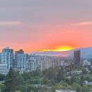 Danyaqingxindewengehua