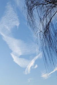 Buxiangqingchen 新君悅國際飯店（廣州南站錦龍地鐵站店）優惠