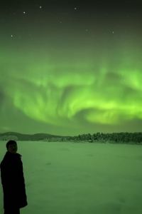 rliu77 卡衣佩爾酒店 - 麥格納喬木優惠