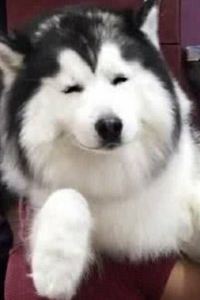 _CFT0332058**** ヴィラフォンテーヌ東京新宿 クーポン