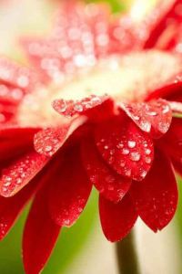 M9273**** ホテルフォルツァ名古屋栄 クーポン