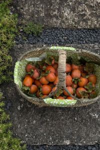 PLuU_ 三亞珊瑚灣文華東方酒店優惠