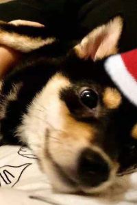 Fandouhuayuanzhuangzhuang- 寧境酒店（寧波天一廣場月湖店）優惠