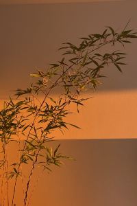 Meiseyingxiong 卡帕多西亞幸運洞穴飯店優惠