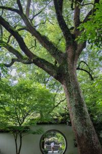 Benjamin2020 呂塞爾斯海姆mk飯店優惠