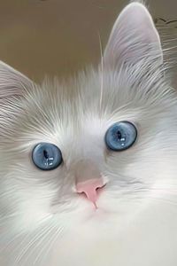 Lisanduo 東羅馬希爾頓歡朋酒店優惠