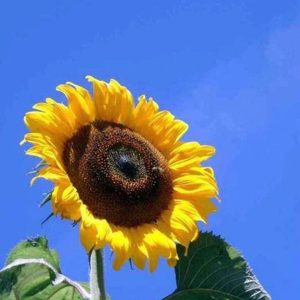 head-img
