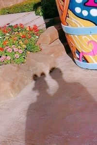 M355588**** 上海瑞金洲際飯店優惠