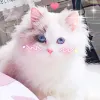 Avatar 3