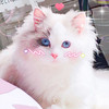 https://ak-d.tripcdn.com/images/1h62d12000h8jw60q5BBE.jpg
