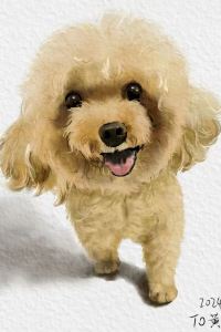 Bianzoubianwandexiaogu 潮曼麗景飯店（珠海拱北口岸輕軌總站店）優惠