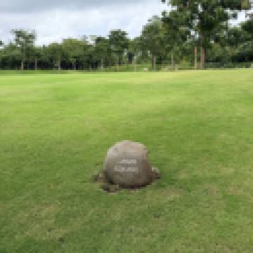 Xiaoyushashaxia🌧️