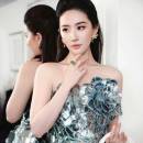 Irisyuanweihua