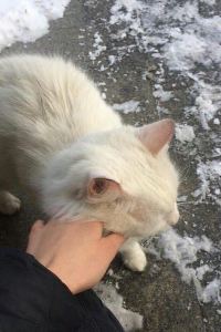 Realing. 璞倫飯店（慈溪環創中心店）優惠