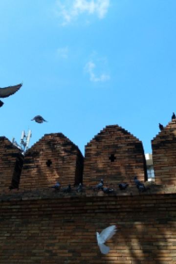 M30454**** 竹葉 新葉亭 クーポン