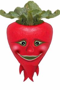 M320114**** 鼓浪嶼四季星空飯店優惠