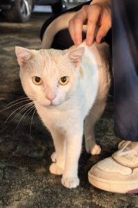 M320144**** 宜尚酒店（廣州天河崗頂地鐵站石牌東路店）優惠