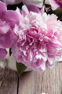 1390573**** 上海百樂門精品酒店優惠