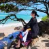 飞翔的海豚77