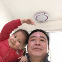 毛季科