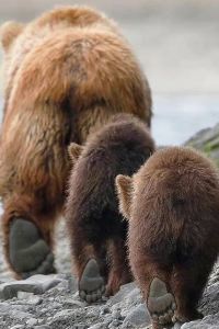 320838**** 青島麗晶大飯店優惠