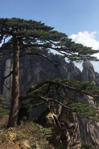 Zhuhaishigongbeisihaihuayuan 廣州新世紀飯店優惠